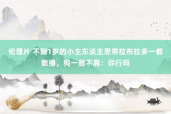 伦理片 不到1岁的小主东谈主思带拉布拉多一都散播，狗一脸不屑：你行吗