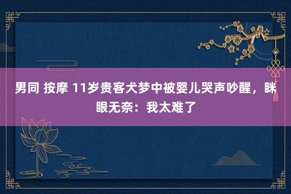 男同 按摩 11岁贵客犬梦中被婴儿哭声吵醒，眯眼无奈：我太难了
