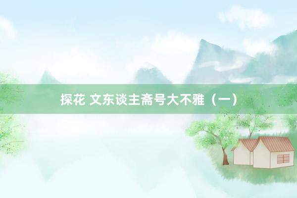 探花 文东谈主斋号大不雅（一）