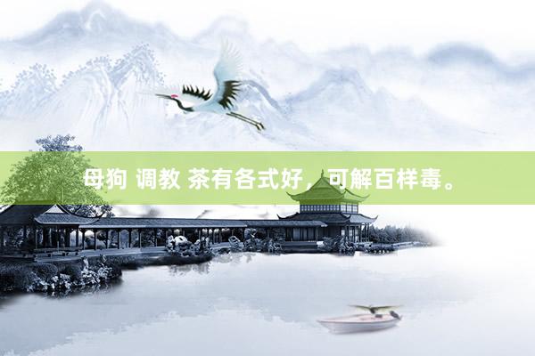母狗 调教 茶有各式好，可解百样毒。