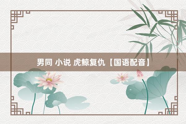 男同 小说 虎鲸复仇【国语配音】