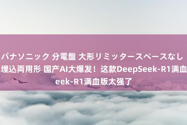 パナソニック 分電盤 大形リミッタースペースなし 露出・半埋込両用形 国产AI大爆发！这款DeepSeek-R1满血版太强了